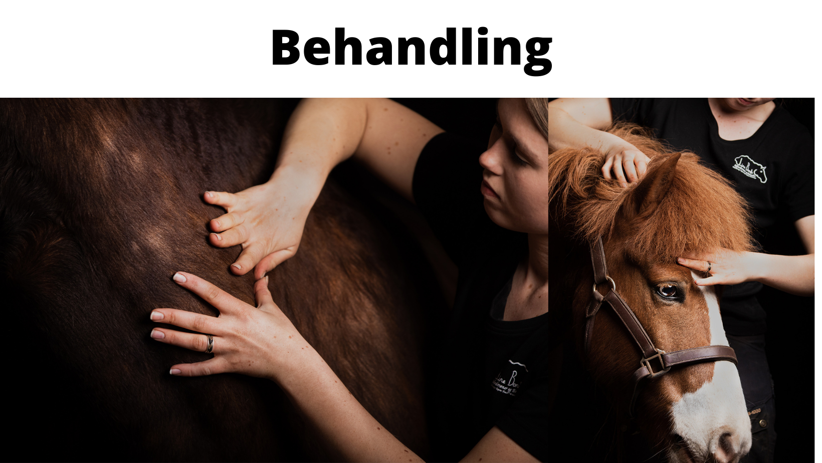Behandling (1) Behandling (1)