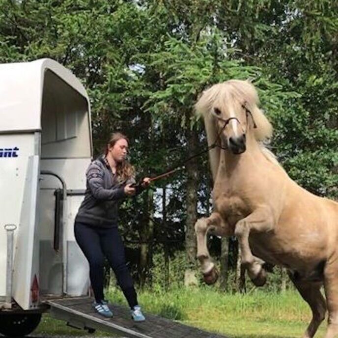trailerlæsning trailerlæsning